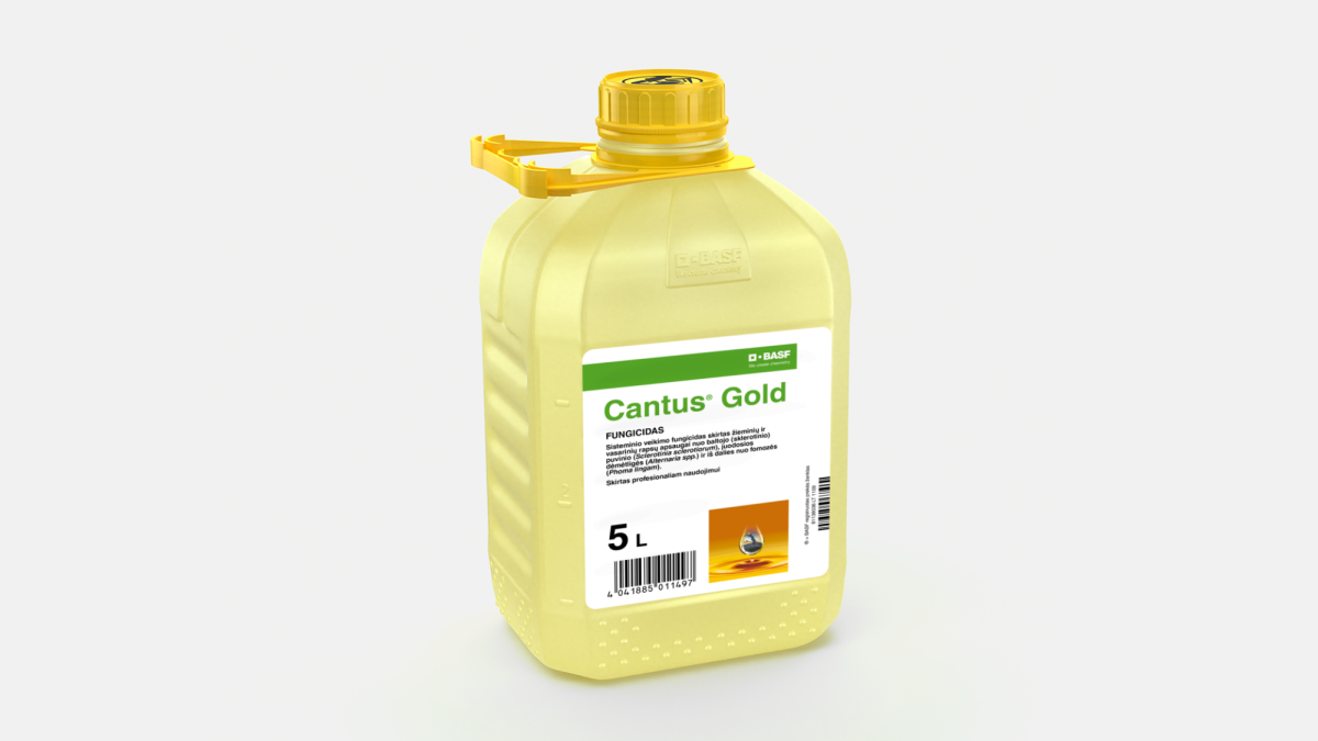 Cantus® Gold - 58011480