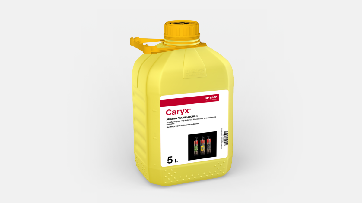 Caryx® - 58948326
