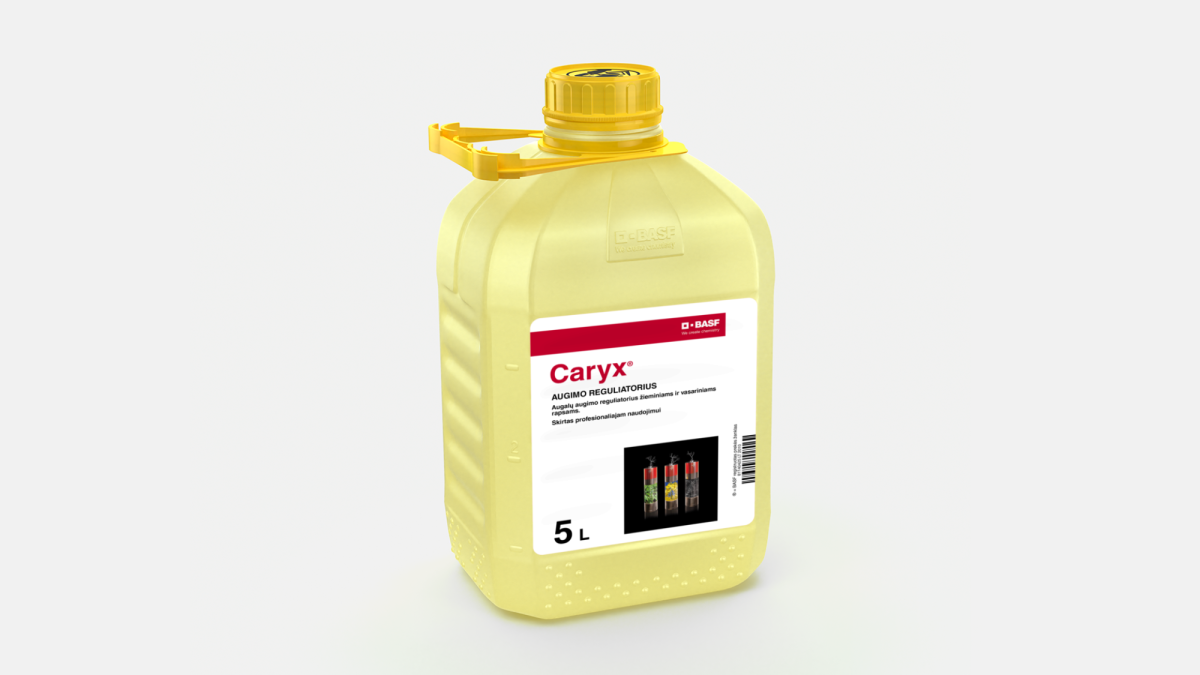 Caryx® - 58948326