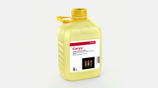 Caryx®