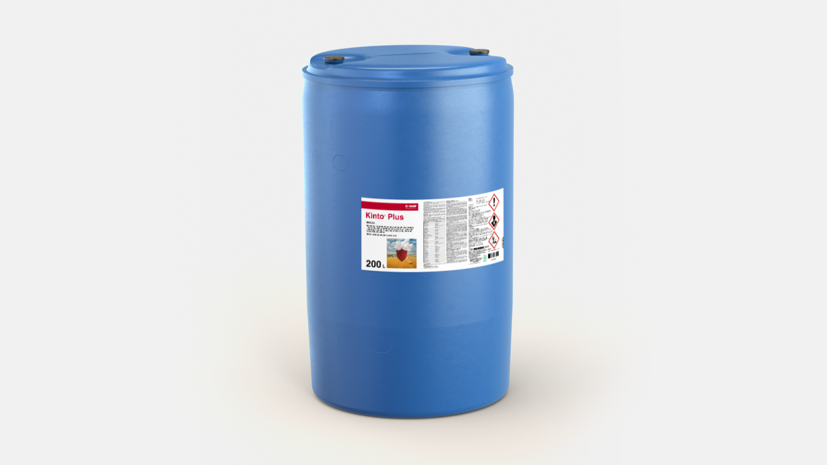 Kinto® Plus - 58181923