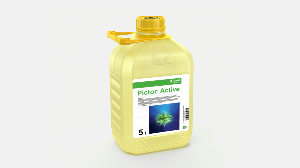 Pictor® Active - 58106483
