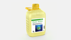 Pictor® Active