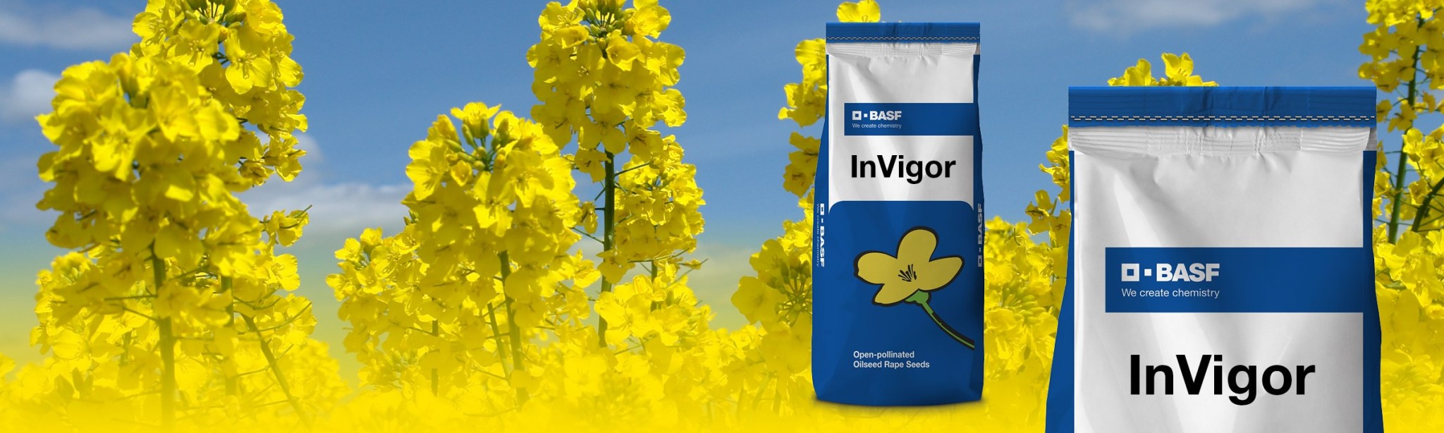 Invigor