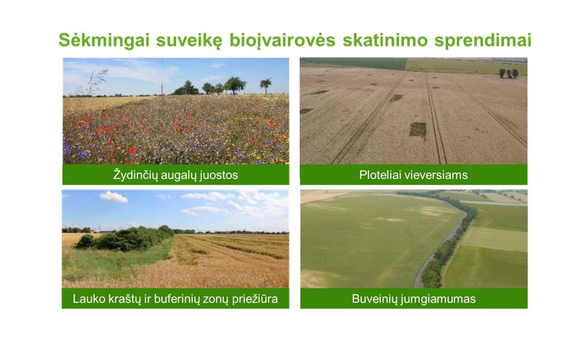 Biologinė įvairovė ir žemės ūkis