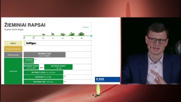 Integruotos augalų apsaugos planas vienaskilčių piktžolių kontrolei - Pasiruoškite veiksmų veiksmų