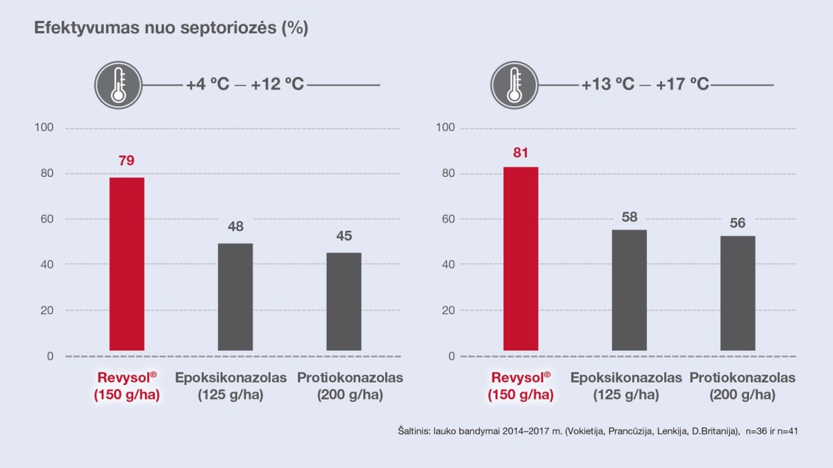 Efektyvumas prieš septoriozę priklausomai nuo temperatūros purškimo metu