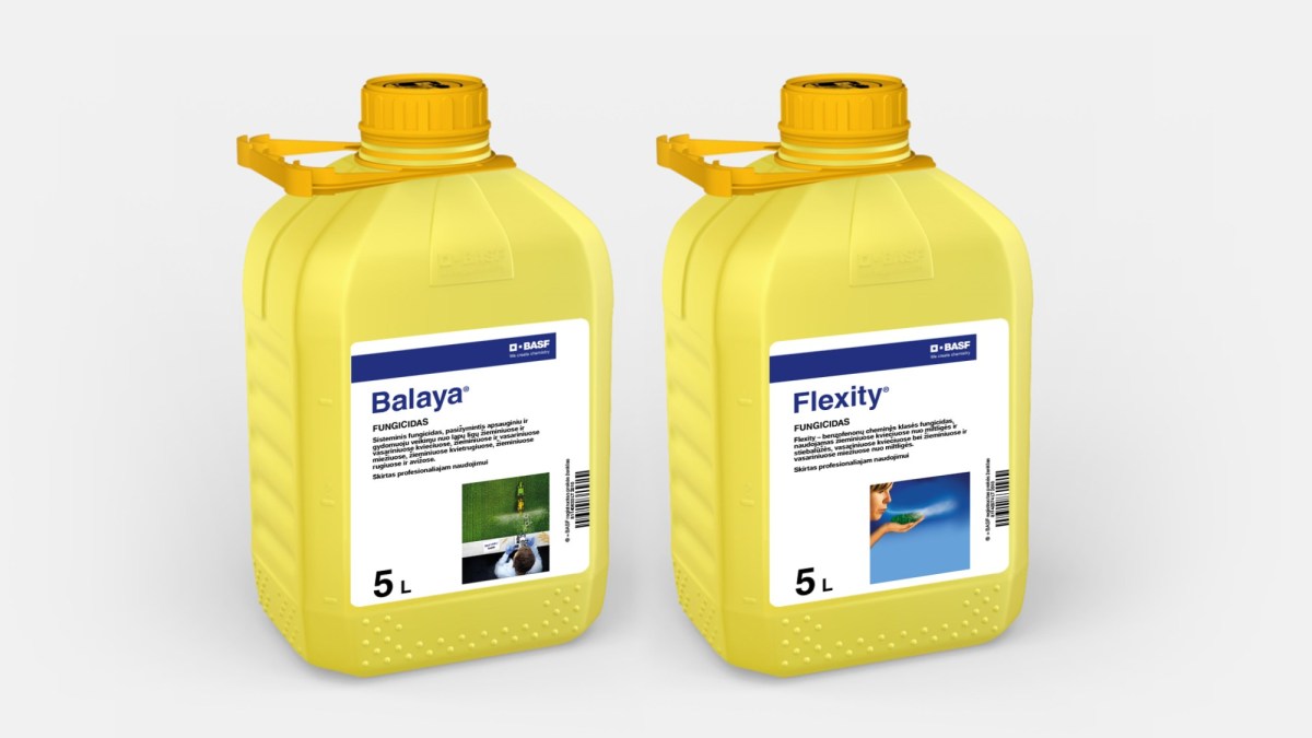 Balaya Flex Pack 5l